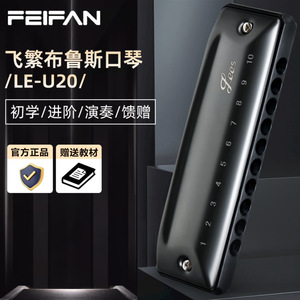 Armónica Diatónica Feifan de 10 Orificios en Do Mayor para Estudiantes - Product Image 2