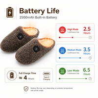 Chaussons chauffants d'intérieur pour femmes, chauffe-pieds rechargeables avec 3 niveaux de chaleur, batterie 2500 mAh, chaussures d'hiver électriques pour la maison