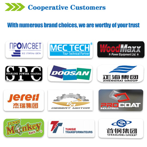 Máy sơn tĩnh điện tùy chỉnh cho nhà máy của bạn - Product Image 4