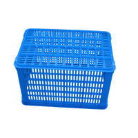 Caisses d'expédition en plastique personnalisées 514*355*310mm, paniers de stockage en plastique pour fruits et légumes