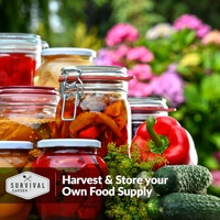 Kit de jardinage pour la culture de plantes et la survie alimentaire, sachet de 30 graines de légumes non-OGM, variétés anciennes, pour utilisation au sol, intérieur et extérieur