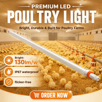 Éclairage pour volailles, IP67, étanche, température de couleur réglable 2700K-6500K, spectre complet, dimmable, raccordement rapide, tube LED T8, Ra80 CRI