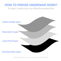 Culottes menstruelles lavables GOTS OEKO-TEX en gros, culottes absorbantes réutilisables pour les règles, à associer avec des tampons en coton