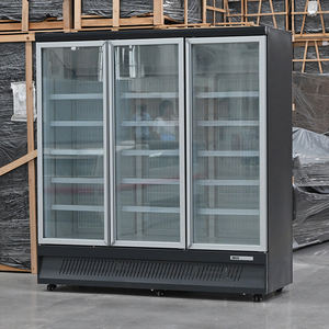 Armoires vitrées pour supermarchés à brancher, pour <span class=keywords><strong>vitrine</strong></span> ouverte, utilisées dans les dépanneurs pour l'affichage des boissons, équipement de réfrigérateur - Product Image 5