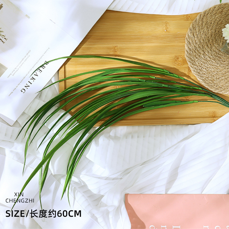 บรอกโคลี (สีเขียวเข้ม)