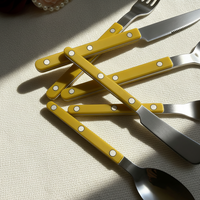 Ensemble de couverts écologiques style bistrot français, manche ABS riveté coloré, acier inoxydable 304, réutilisables pour restaurant et fête