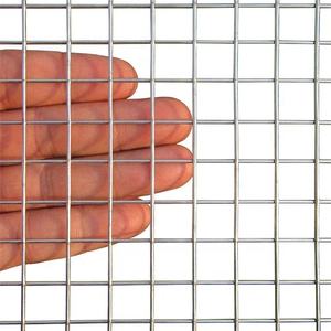12 Gauge ucuz 304 paslanmaz çelik kuş kafesleri kaynaklı tel örgü - Product Image 2