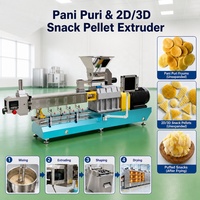 Mesin Pembuat Keripik Goreng Otomatis Gol Gappa Papad India, Mesin Ekstruder Snack 2D 3D, Lini Produksi Pengolahan Makanan