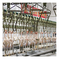 500bph-8000bph Abattoir de cailles de poulet équipement d'abattage d'abattoir de volaille à vendre