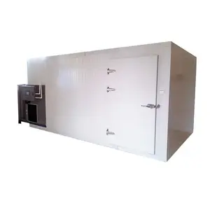 High cost performance fruit drying production line industrial plum dehydrator dehydration equipment for blueberries