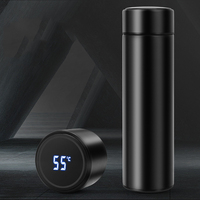 Thermos à thé, gobelet intelligent à vide numérique à LED, bouteille d'eau intelligente, acier inoxydable 304, vaisselle, thermos et flasques à vide