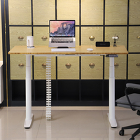 Bureau de travail électrique intelligent 2DF3, ergonomique, réglable en hauteur, bureau debout pour ordinateur, bureau de travail électrique pour la maison, meubles
