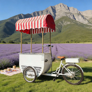 Gelato Display Ice Cream Towable Push Vending Cart with Freezer Ice Cream Vending Cart for Outdoor Use - Product Image 1