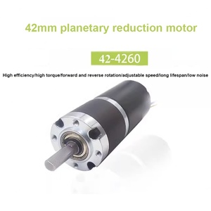 Motor sin Escobillas con Engranaje Planetario de 42 mm, 12v/24v, Velocidad Ajustable, 155 kg de Alto Torque, Motor de Imán Permanente - Product Image 5