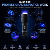 Lampe torche LED UVC 10W 254nm rechargeable 26650 à ondes courtes pour la détection de minéraux fluorescents et de pierres précieuses C8.2