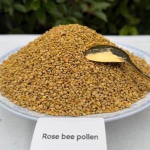 Polen de Abeja al por Mayor, Grado Alimenticio, Suministro a Granel con Empaque Estándar a Precio Competitivo, Polen de Abeja Natural Orgánico - Product Image 5