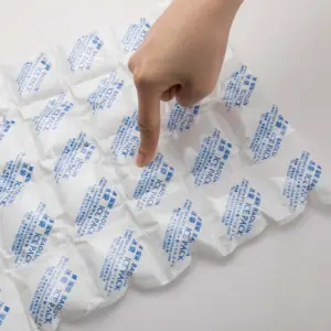 Basun-emballage de glace écologique réutilisable, pour la livraison des aliments, sachet de refroidissement froid