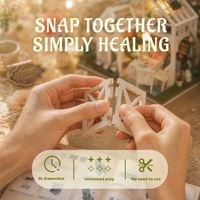 Nouveau design, modèle de construction en bois 3D, serre miniature faite à la main avec kit de meubles, cadeau créatif, kit de maison miniature DIY