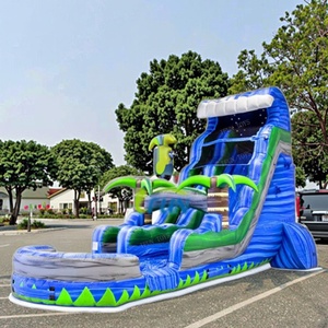 Tobogán Acuático Inflable <span class=keywords><strong>de</strong></span> Doble Carril <span class=keywords><strong>de</strong></span> 40 pies <span class=keywords><strong>de</strong></span> Grado Comercial, Diseño <span class=keywords><strong>de</strong></span> Palmera Tropical, Material <span class=keywords><strong>de</strong></span> PVC <span class=keywords><strong>de</strong></span> 0.55mm, para Parques <span class=keywords><strong>de</strong></span> Aventura y Deportivos - Product Image 1