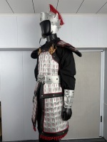 Antike Chinesische Krieger-Rüstung Set Traditionelles Chinesisches Soldaten-Lamellenkostüm Jacken Mäntel LARP Cosplay Halloween