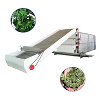 Doorlopende Gaasband Transportdroger Voor Fruit En Groenten Muntblad Algen Voedergras Bagasse Droger