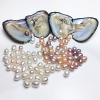 Huîtres de culture d'eau douce en gros pour fermes, boîte mystère de perles naturelles en vrac, blanches, violettes, noires, roses, emballage sous vide