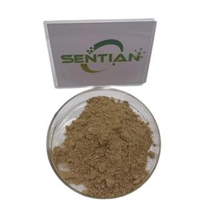 ผง Shikonin 10:1สารสกัดจากใบ comfrey สารสกัด comfrey - Product Image 1