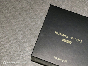 <span class=keywords><strong>HW</strong></span> Watch 5 1,38 pulgadas 60Hz Oled Pantalla redonda ESIM Llamada independiente 42mm Mujeres Monitor DE SALUD Reloj inteligente a prueba de agua - Product Image 6