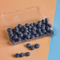 Kotak Kemasan Buah Berry Stroberi Blueberry Ramah Lingkungan dari Plastik PET Transparan 250G Sekali Pakai dengan Lubang