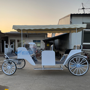 Chariot de tourisme à chevaux en promotion – Plusieurs styles, chariot royal de tourisme de haute qualité - Product Image 3