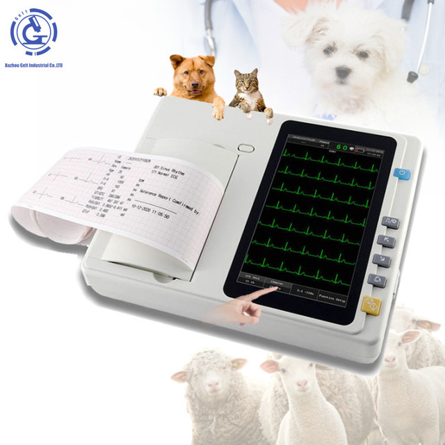 VET Portable Blood Stress test Ecg Machine 6 12 Channel Analyzer 12 Lead Ecg Machines