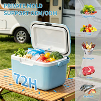 Boîte isotherme portable mini 10qteps pour aliments, congélable, avec poignée robuste, idéale pour le camping et les pique-niques en extérieur
