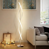 Lampadaire à courbe circulaire minimaliste créatif LED lampadaire à double spirale design pour hôtel bureau salon