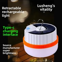 Lampes solaires pour l'extérieur Batterie étanche Lumière LED Rechargeable pour l'extérieur Lampes de travail portables Lampe solaire de camping avec USB