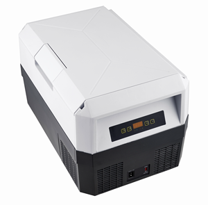 Cooler Box Portable 12V 24V 25L Camping Car Compressor Cooler Box Refrigerator Fridge Mini Freezer For Rv Caravan