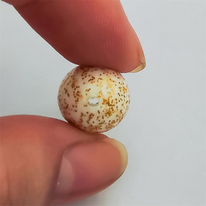 Flotteurs de pêche à la mouche en mousse EPS personnalisés, accessoires de pêche en mer - Product Image 5