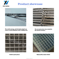 Paneles de Malla de Soldadura Económicos, Paneles de Cerca de Soldadura Galvanizados Anticorrosivos, Utilizados para la Construcción de Cercas de Jardín