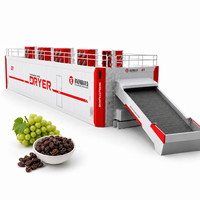 Shouchuang OEM/ODM industriële continue mesh-belt fruitdroogmachine voor het drogen van verse druiven tot rozijnen.