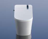 Inodoros inteligentes de cerámica para baño con asiento, luz nocturna LED y tanque oculto, de fabricación china.