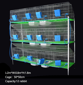 Nouvelle <span class=keywords><strong>cage</strong></span> de filet d'élevage de lapin de tuyau galvanisé de haute qualité avec filet de volaille animale 12 unités de capacité Durable et facile à nettoyer - Product Image 6
