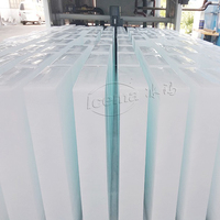 Usine de fabrication de glace en blocs automatique à refroidissement direct de 20 tonnes par jour, machines industrielles de fabrication de glace, machine à glace