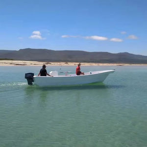 Bote de Trabajo y Pesca Panga de Fibra de Vidrio Modelo Grandsea de 26 pies 8 m en Venta - Product Image 2