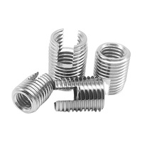 M6 M8 Carbon Steel Class Grade 4.8 8.8 10.9 12.9 Chrome Nickel Plated Slotted Wire Locking Thread Inserts