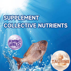 Fish Shrimp Growth Booster Feed Additive Aquaculture Vitamin Amino Acid Improve Water Quality Weight Gain for Tilapia Catfish - Product Image 4
