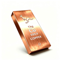Barre de cuivre carrée non alliée pure à 99,9 % de 1 kg pour collectionneurs et investisseurs