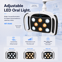 Lampe LED mobile OliveVet sans ombre pour examen buccal, caméra intra-orale, compresseur d'air sans huile, unité dentaire vétérinaire portable