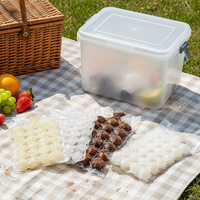 Échantillon gratuit de sacs à glaçons en plastique polyéthylène transparent jetables personnalisés, auto-scellants, pour glaçons