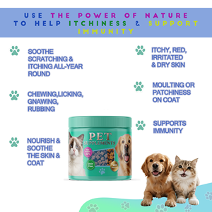 Yuan Pet Health Dog <span class=keywords><strong>Bully</strong></span> <span class=keywords><strong>Max</strong></span> Muscle Building Mastica Aumento de peso Suplemento para perros activos - Product Image 2