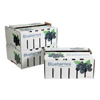 Boîtes à pamplemousses en carton ondulé ventilé pour l'emballage de raisins frais, chaîne du froid, exportation, stockage, anti-écrasement, emballage de fruits