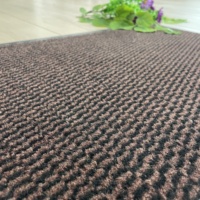 Luxuriöse Shaggy PVC Eingangs matte für Home Hotel Langer Teppich für Korridor, rutsch feste hochwertige Matten Großflächige Teppiche